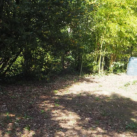 La Chesnade, A 400 M De La Plage De Royan Saint-Georges-de-Didonne